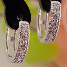 Load image into Gallery viewer, Silver Hoop Earrings
